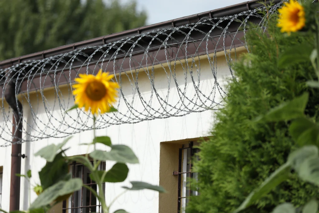 Poznali się w zakładzie karnym. Ukradli ponad milion złotych