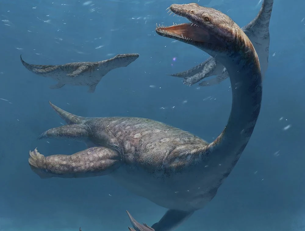 Rekonstrukcja notozaurów sprzed około 240 milionów lat ukazująca ukrytą różnorodność występującą w południowo-zachodnich Chinach