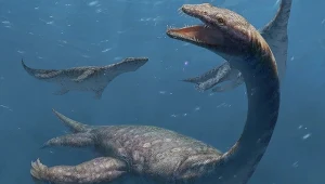 Potwór niczym z Loch Ness odkryty w Chinach. Szyja miała aż 42 kręgi