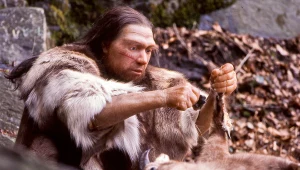 Zjadali kobiety i dzieci. Ślady zbrodni sprzed 45 tys. lat