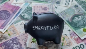 Taką emeryturę dostanie duża liczba Polaków. Trzeba zarabiać 7000 zł brutto