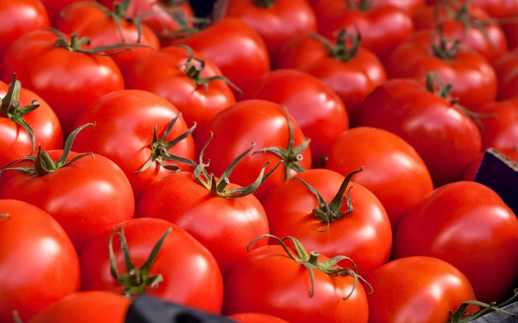 Likopen, cenny składnik pomidorów, najlepiej działa po obróbce cieplnej. Lepiej przyswajamy także ten z pomidorów z puszki, niż z surowych