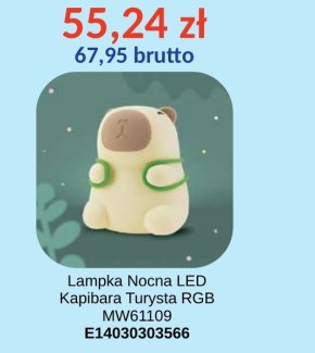 Lampka nocna E niska cena