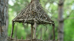 Szybki karmnik z gałązek brzozy. Tani i ekologiczny