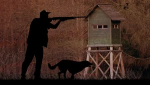 Za odpowiednią opłatą myśliwi są w stanie dopuścić do broni osoby niemające z łowiectwem nic wspólnego (kolaż: Aleksandra Włodarczyk/Interia.pl)