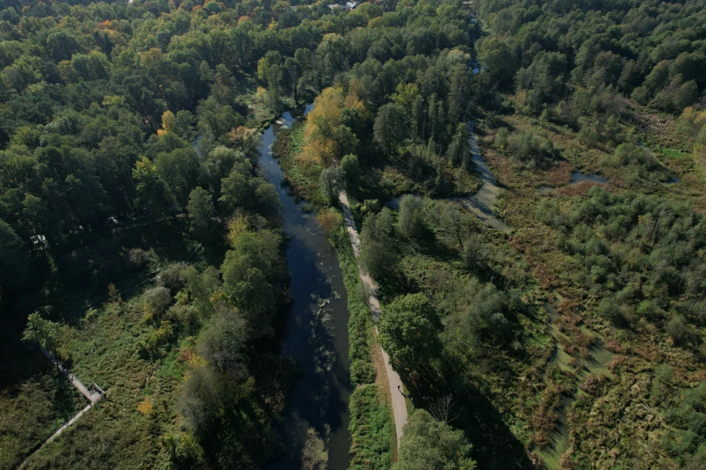 Zieleni i terenów rekreacyjnych tu nie brakuje