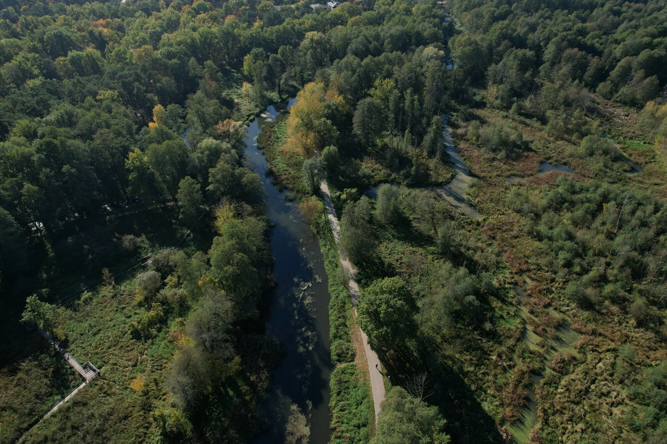 Zieleni i terenów rekreacyjnych tu nie brakuje