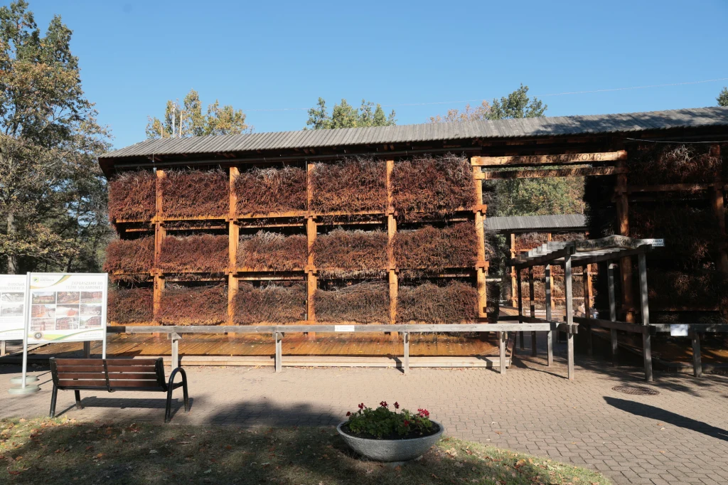 Drewniana tężnia solankowa z poziomami wypełnionymi gałęziami wikliny, wokół niej chodnik, ławka i kwietnik, po lewej stronie tablice informacyjne, w tle drzewa i niebo bez chmur.