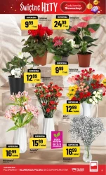 Świetne hity w POLOmarket