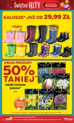 Świetne hity w POLOmarket