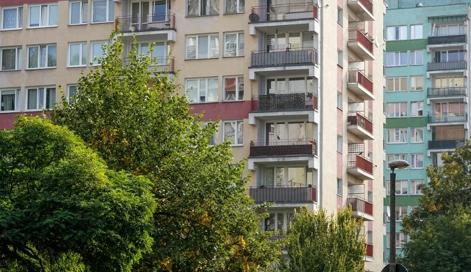 Wysoki blok mieszkalny z balkonami na tle drzew i drugiego budynku o podobnej architekturze.