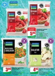 Codzienne wybory, lepsze ceny - Dino