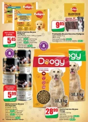 Codzienne wybory, lepsze ceny - Dino