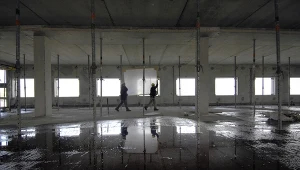 Dramatyczna sytuacja Polaków w Holandii. Wyzysk i praca na gorszych warunkach