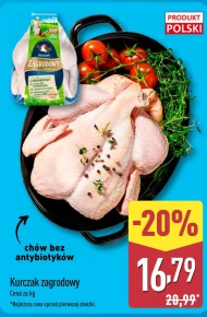 Курка Zagrodowy