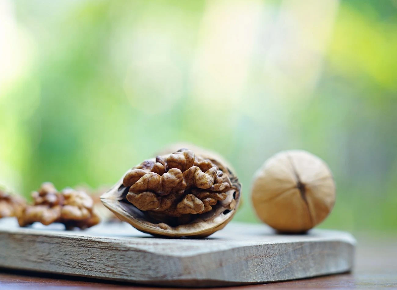Orzechy włoskie są cennym źródłem wielu składników odżywczych, dzięki czemu mogą być dobrym urozmaiceniem zimowej diety ptaków.