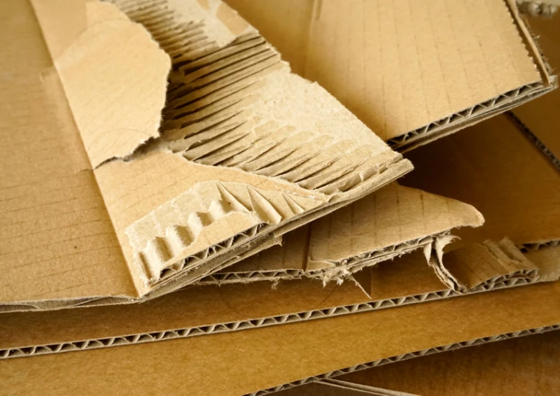 Kartony do ściółkowania nie mogą mieć nadruków i być pokryte olejami i plastikowymi powłokami.