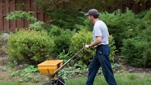 Ważny zabieg trawnika jesienią. Będzie gęsty i soczyście zielony