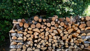 Jak wilgotność powinno mieć drewno do palenia? Warto to sprawdzić.