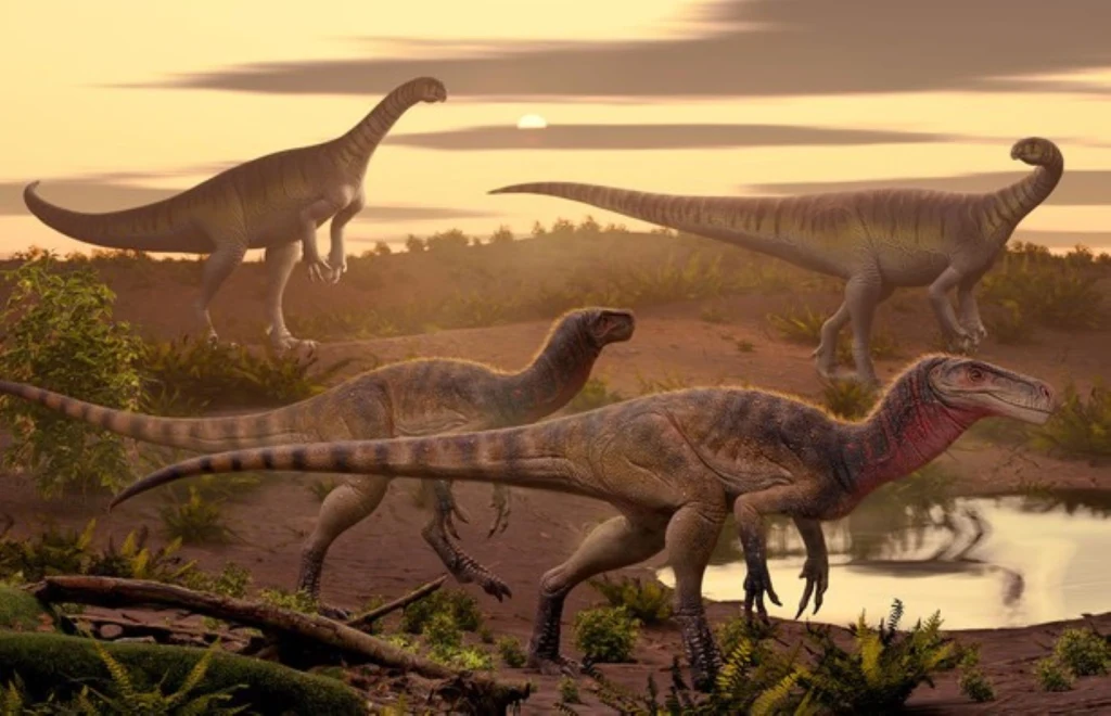 Cztery dinozaury przemierzające prehistoryczny krajobraz z niską roślinnością, wodopojem oraz zachodzącym słońcem w tle, mocne mięśnie i długie ogony podkreślają ich majestatyczność i siłę.