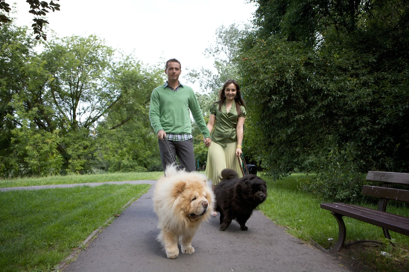 Randki z pupilami? Czemu nie! Para spacerująca po parku z dwoma dużymi psami na smyczach, otoczona zielenią i alejkami parkowymi.