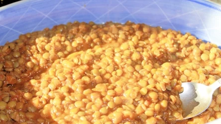 Dlaczego warto jeść soczewicę? Kto powinien ją spożywać?