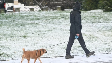 Na północy Polski w wielu miejscach popada deszcz i deszcz ze śniegiem. Więcej przejaśnień synoptycy spodziewają się na południu kraju