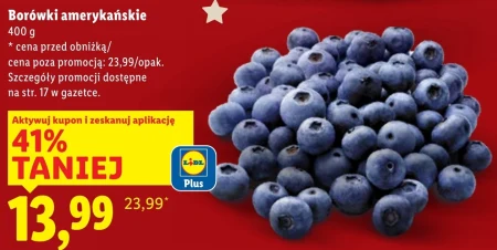 Borówki amerykańskie