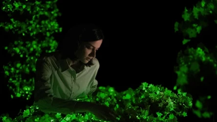 Firefly Petunia to niezwykła roślina, która emituje naturalne światło w ciemności. 