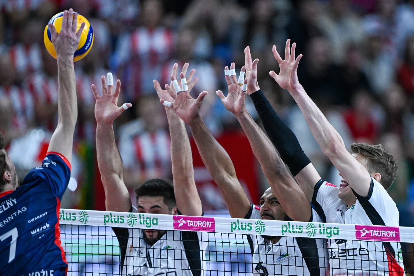 Czterech siatkarzy drużyny w białych koszulkach wykonuje blok nad siatką podczas ataku przeciwnika ubranego w niebieską koszulkę z numerem 7. W tle widoczni kibice i elementy hali sportowej.