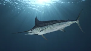 Przerażające znalezisko w Niemczech. Zjadał i jednocześnie był zjadany