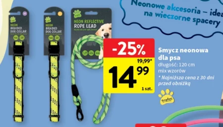 Повідець для собаки