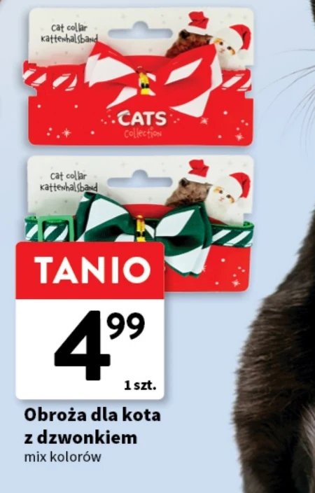 Нашийник для кота Cat