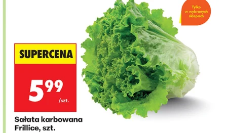 Салат-латук