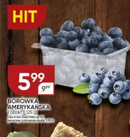 Чорниця Chata polska