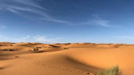 Mokra Sahara