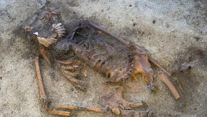 Niezwykły pochówek kobiety wikingów. Ujawnia nieznany rytuał