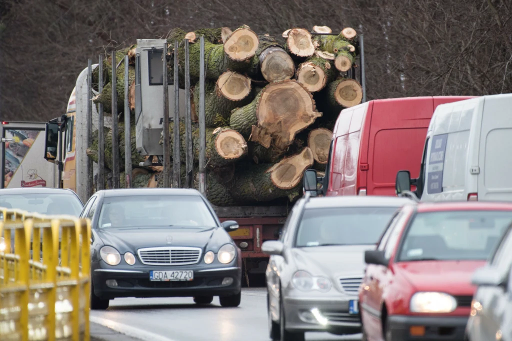 Ciężarówka przewożąca stos świeżo ściętych pni drzew jedzie w zatłoczonej ulicy w towarzystwie samochodów osobowych i dostawczych, widoczne są wycięte kręgi drewna oraz barierki zabezpieczające po lewej stronie jezdni, a w tle rozciąga się zimowy, bezl...