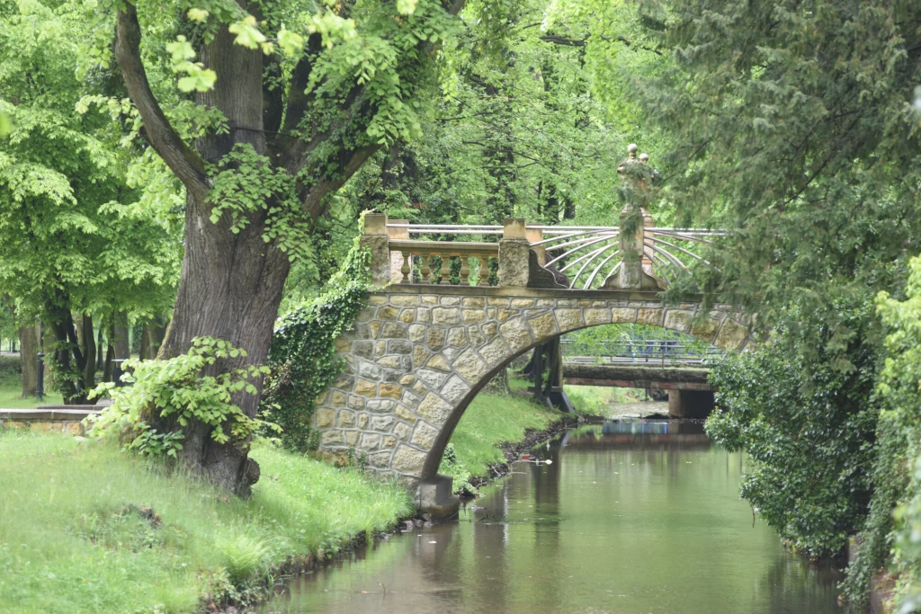 Kamienny mostek z balustradą przeprawia się przez spokojny, wąski strumień otoczony gęstą zielenią i dojrzałymi drzewami. W tle widoczna jest bujna roślinność parku.