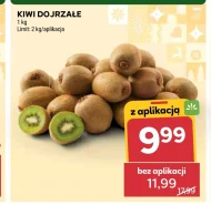 Kiwi