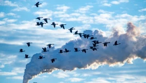 Świat wciąż pędzi na ropie i gazie. Upadają "absurdalne scenariusze"