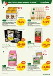 Black Days - Maxi ZOO