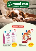 Black Days - Maxi ZOO