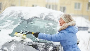 Wlej do butelki i wymieszaj. Rozpyl na szybę, by pozbyć się szronu