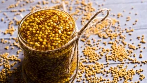 Złagodzi bóle reumatyczne, obniży poziom stresu. Stosuj jako przyprawę