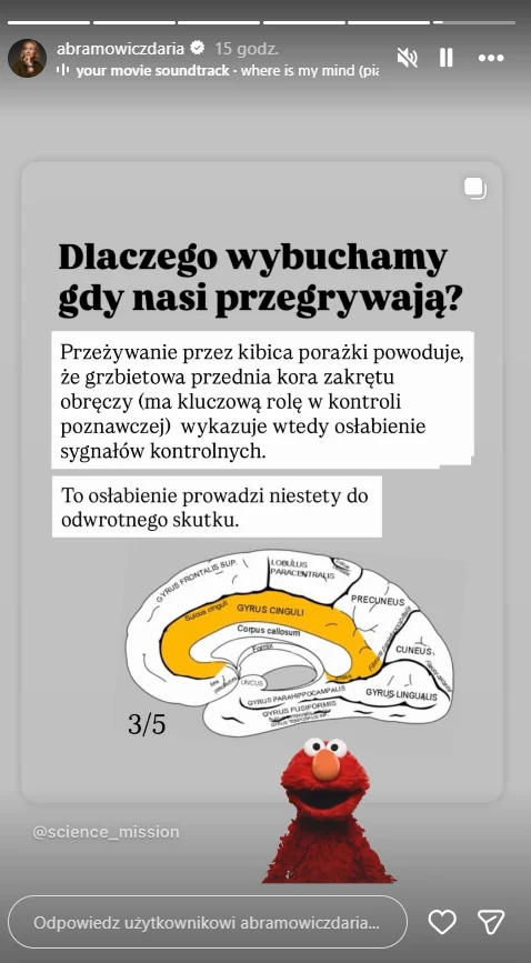 Infografika prezentująca schemat mózgu z zaznaczoną korą zakrętu obręczy oraz krótki tekst wyjaśniający, dlaczego kibice reagują emocjonalnie na porażkę swojej drużyny. Na dole obrazka postać Elmo z Ulicy Sezamkowej.