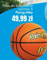 Баскетбол Flying Mike