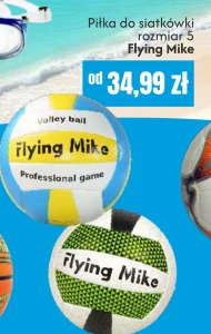 Волейбол Flying Mike