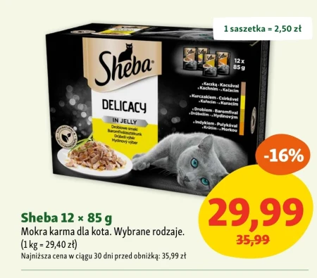 Mokra karma dla kota Sheba