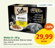 Mokra karma dla kota Sheba